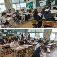 Express-collage (44)