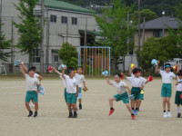DSC09983 (1)
