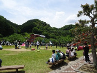 DSC03022