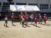 DSC03081