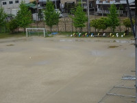 DSC03264