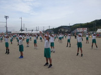 06