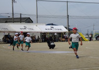 DSC03290