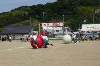 DSC03339
