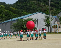 DSC03341