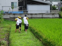DSC06090