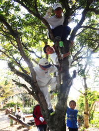 画像_の_サイズ_を_変更 プロジェクト (2)